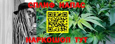 мяу мяу мука Краснознаменск